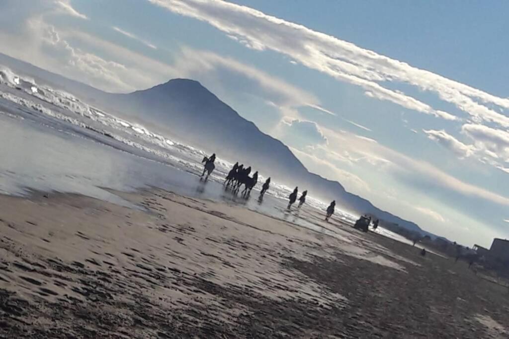 Paradise - Oliva Nova Playa Met&Golf エクステリア 写真